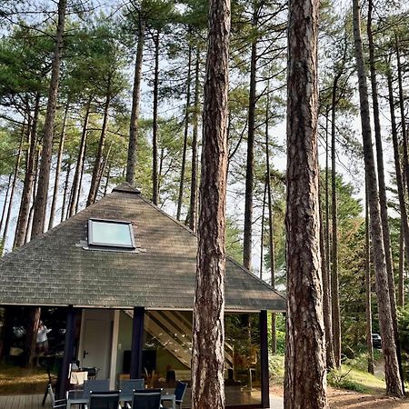 L Oree De La Pinede Hardelot Plage A 800 Metres De La Mer Sous Les Pins Екстер'єр фото