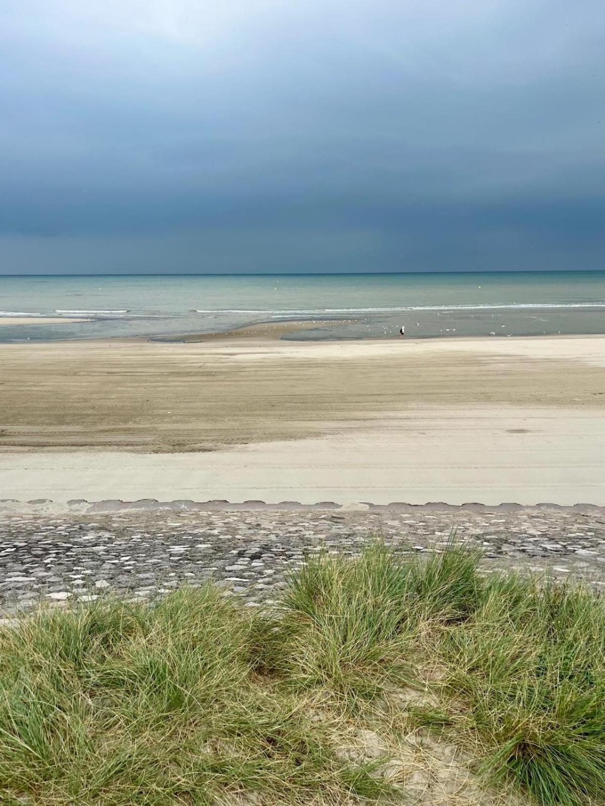 L Oree De La Pinede Hardelot Plage A 800 Metres De La Mer Sous Les Pins Екстер'єр фото