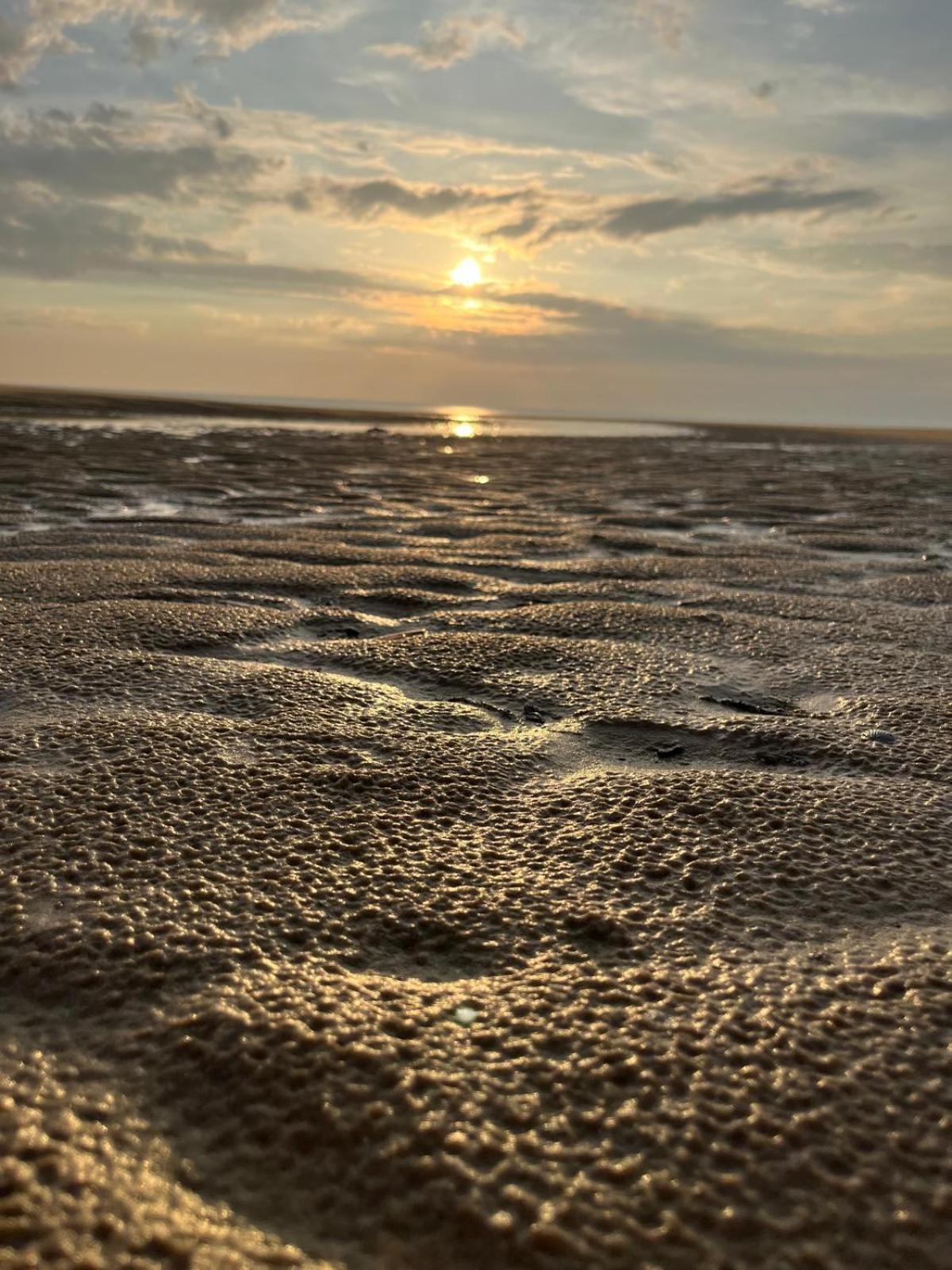 L Oree De La Pinede Hardelot Plage A 800 Metres De La Mer Sous Les Pins Екстер'єр фото