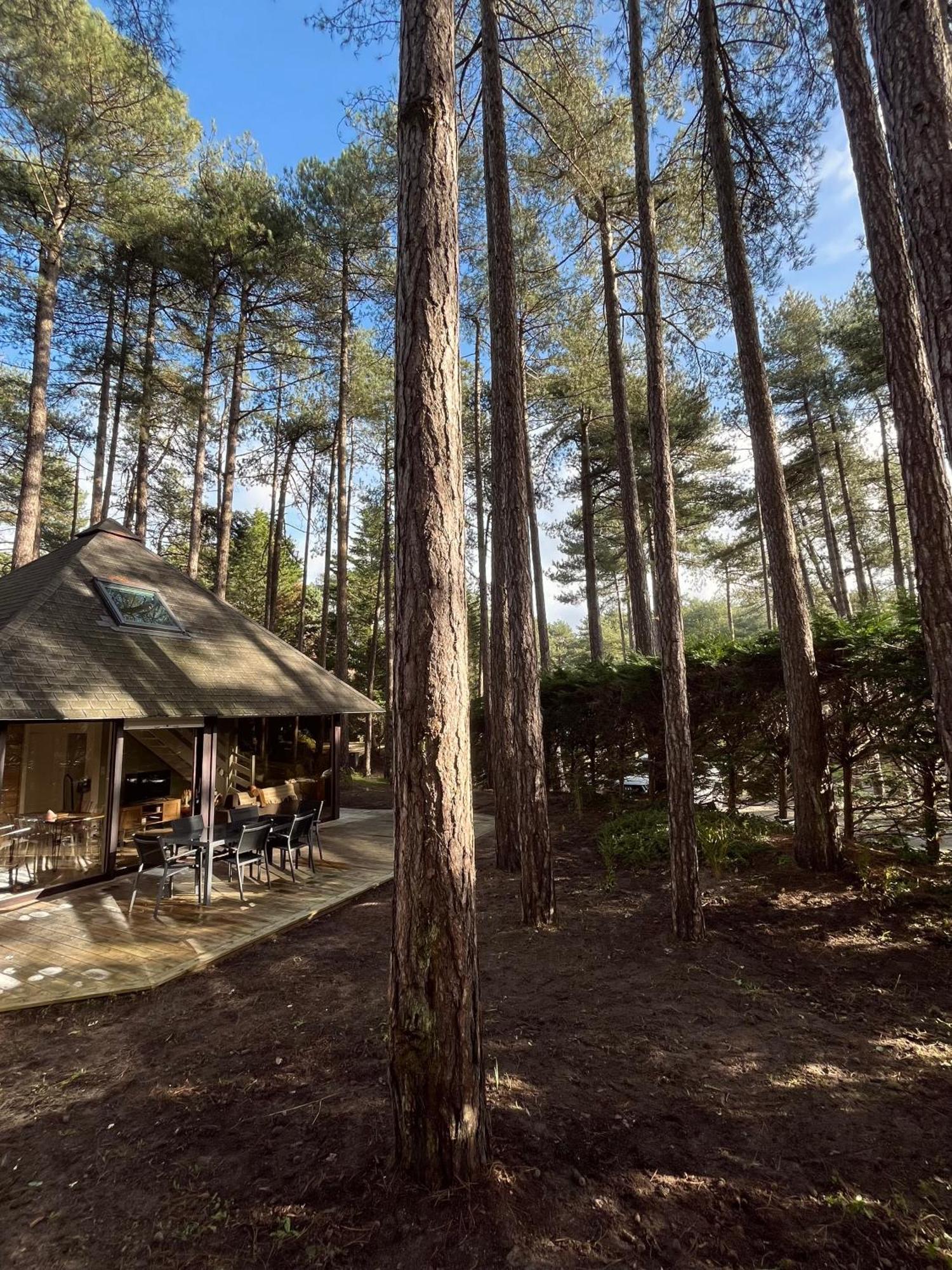 L Oree De La Pinede Hardelot Plage A 800 Metres De La Mer Sous Les Pins Екстер'єр фото